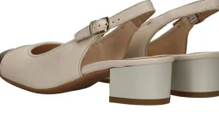 Ara Nizza Pumps Dames|DAMES Hakken