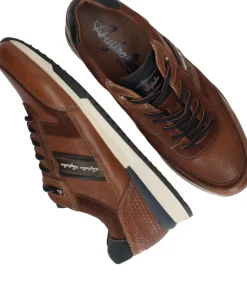 Australian Filmon Sneakers Heren|Heren Sneakers