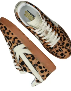 Kaotiko Boston V Sneakers Bruin Dames|DAMES Sneakers