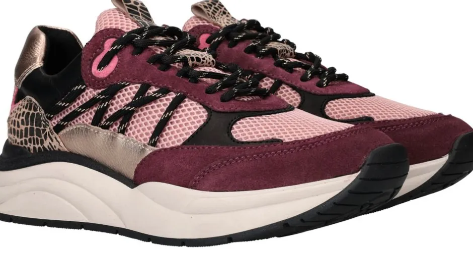LOFF 1881 Sneakers Paars Dames|DAMES Sneakers