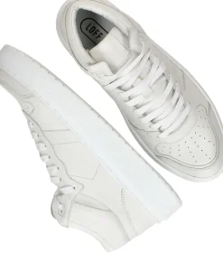 LOFF 1881 Sneakers Heren|Heren Sneakers