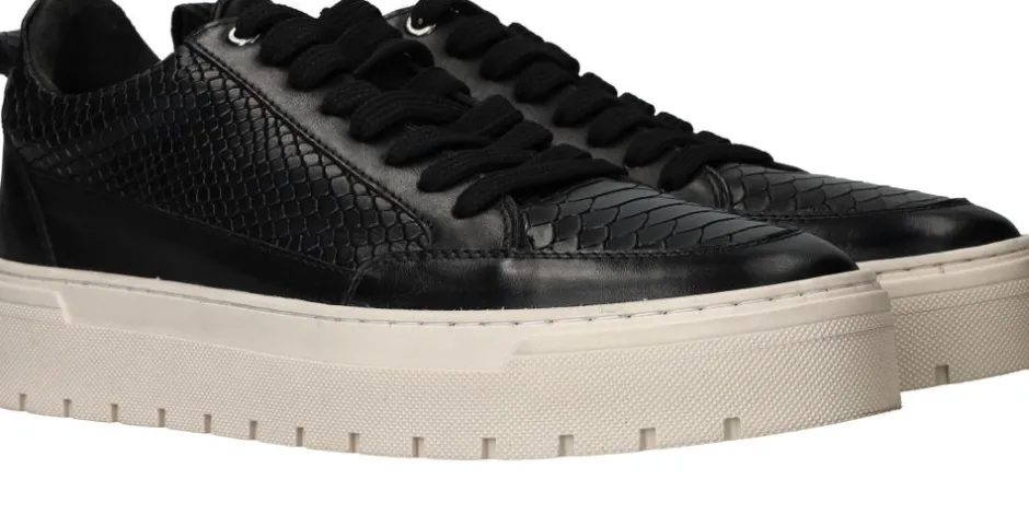 LOFF 1881 Sneakers Heren|Heren Sneakers