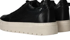 LOFF 1881 Sneakers Heren|Heren Sneakers