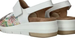 Sens Sandalen Dames|DAMES Sandalen|Comfort