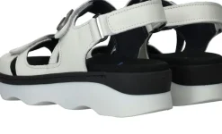 Wolky Medusa Sandalen Dames|DAMES Sandalen|Comfort