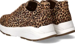 Xsensible Chain Stretchwalker Sneakers Dames|DAMES Comfort|Sneakers