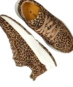 Xsensible Chain Stretchwalker Sneakers Dames|DAMES Comfort|Sneakers