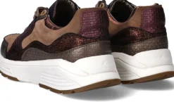 Xsensible Golden Gate Stretchwalker Sneakers Bruin Dames|DAMES Comfort|Sneakers