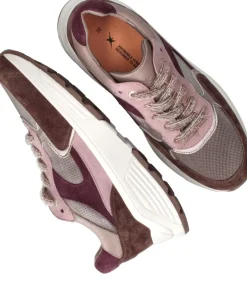 Xsensible Ponte Vecchio Stretchwalker Sneakers Dames|DAMES Comfort|Sneakers
